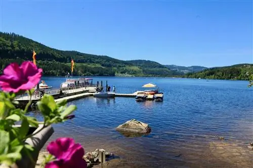 Опыт Uniworld Cruise в Страсбурге