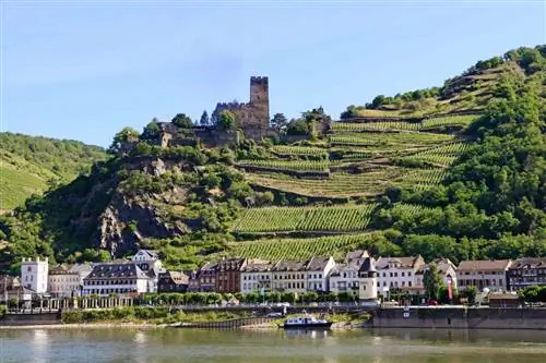 Опыт Uniworld Cruise в Эльтвилле