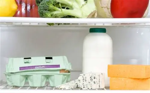 Группы продуктов в холодильнике