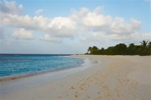 Пляж в Shoal Bay East в Ангилье