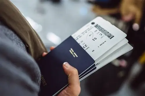 4 способа сэкономить на билетах на самолет этим летом, по мнению эксперта по дешевым рейсам