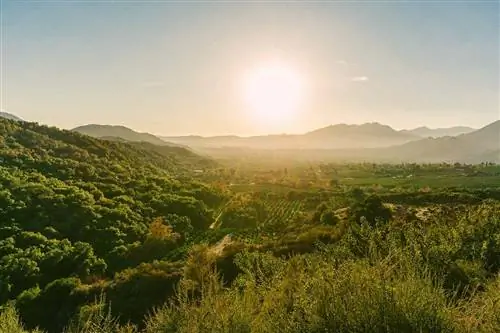 Долина Охай, Калифорния