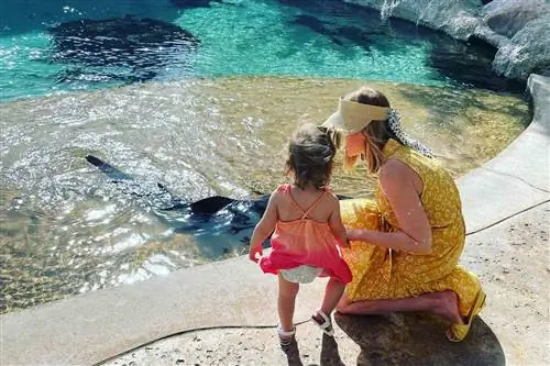 Мама и дочь смотрят на акул в воде в коралловом питомнике на Багамах.