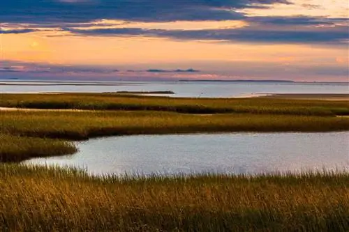 Paines Creek Marsh в Машпи, Массачусетс