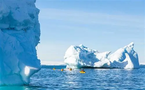 Каякинг в заливе Терра Нова, море Росса, Восточная Антарктида Каякинг в заливе Терра Нова, море Росса, Восточная Антарктида