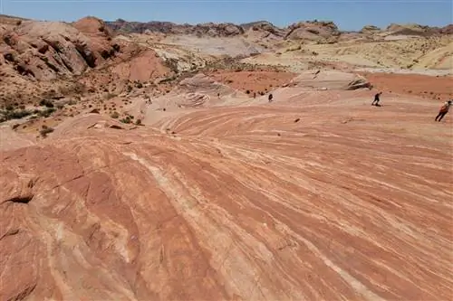 В этом парке штата Невада есть древние петроглифы, потрясающие красные каньоны и удивительная дикая природа - и он находится менее чем в часе езды от Лас-Вегаса
