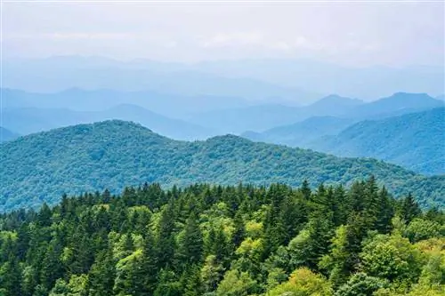 Дымчатые горы от Blue Ridge Parkway.