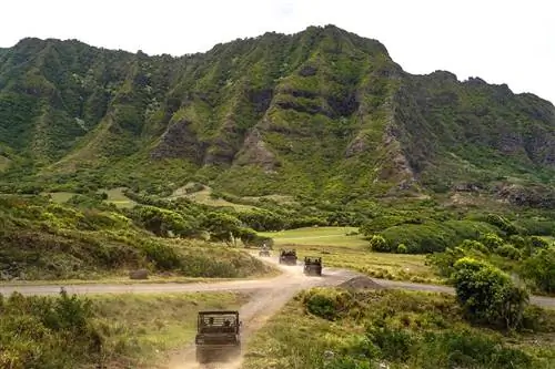 Люди едут на квадроцикле Raptor на ранчо Куалоа, которое использовалось в качестве места съемок таких фильмов, как «Парк Юрского периода» в Канеохе, Гавайи.