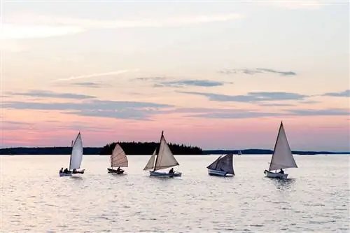 Небольшие парусные лодки в ряд у берегов штата Мэн