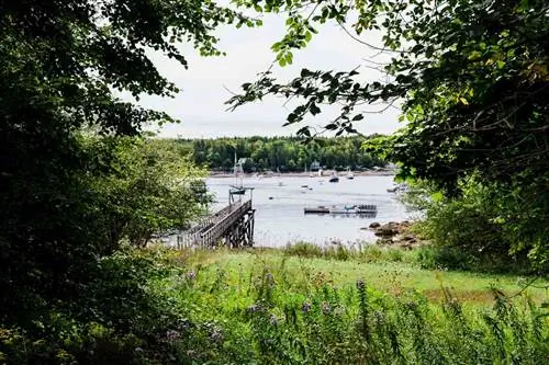 Док в Юго-Западной гавани в штате Мэн