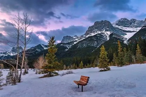 Скамейка в зимнем парке в горах Канмор.