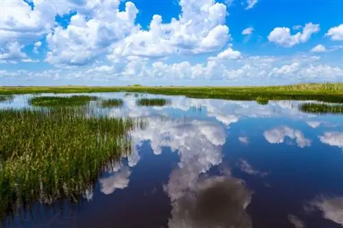 Голубое небо с облаками, отраженными в воде в национальном парке Эверглейдс