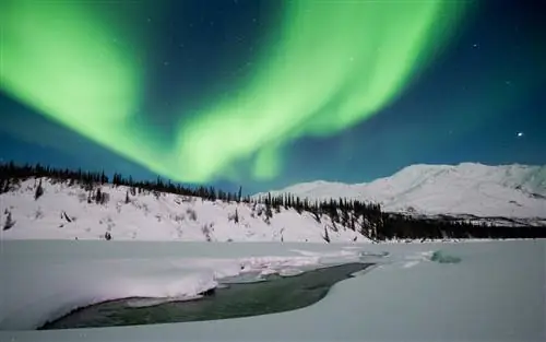 Как увидеть северное сияние (видео)