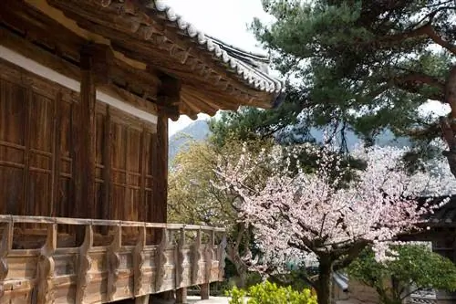 Вид на террасу в Chunghyodang, в деревне Хахве, Южная Корея.