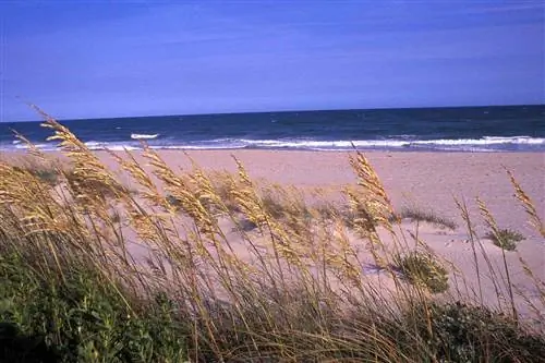 Государственный парк Hammocks Beach, Северная Каролина