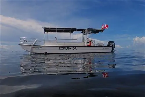 Лодка Explorida используется для плавания с ламантинами во Флориде.
