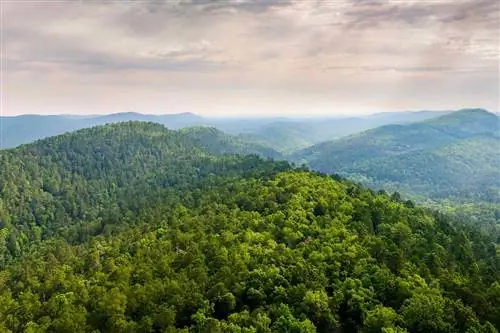 Этот национальный парк Арканзаса был оригинальным курортным городом Америки, и сегодня вы можете посетить его вековые купальни