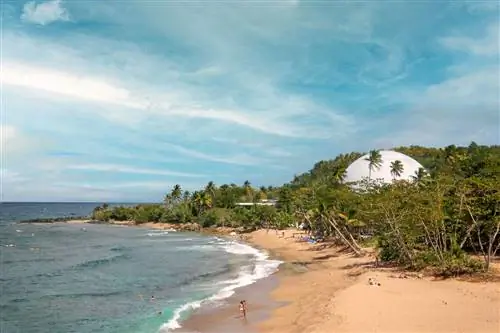 Пляж в Ринконе, Пуэрто-Рико