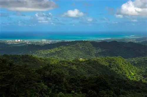Вдалеке виден приморский город Лукильо, вид со смотровой башни в Национальном лесу Эль-Юнке 4 декабря 2012 года в Рио-Гранде, штат Пенсильвания.