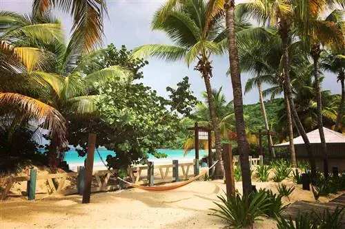 Кулебра-Пуэрто-Рико