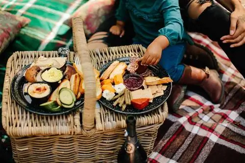 Кэмп Арамони, бутик-кемпинг в Иллинойсе.