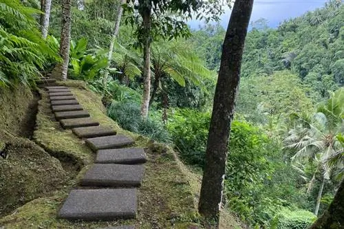 Прогулка в COMO Shambhala Estate