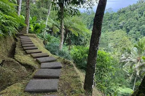 Я путешествовал по Бали, когда он снова открылся для туристов - вот что значит побывать сейчас