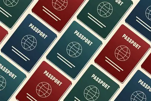 Как страна выбирает цвет паспорта