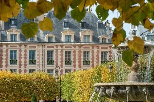 Внешний вид Cour des Vosges