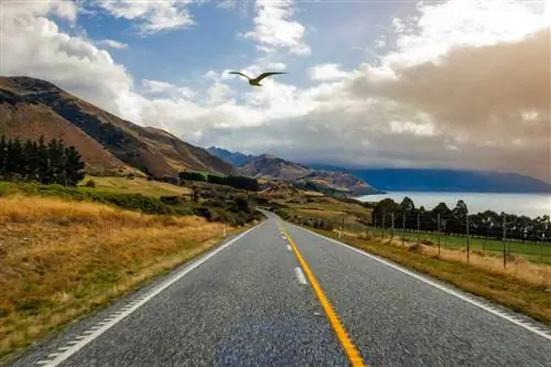 Пустая дорога морем против неба, когда птица пролетает над озером Хавеа, Отаго, Новая Зеландия