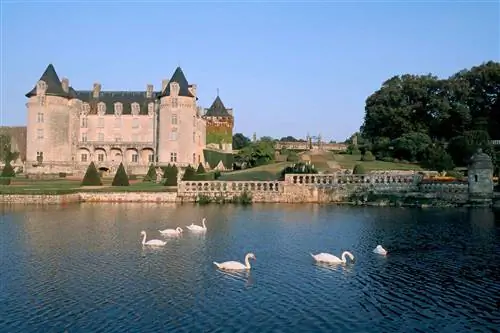 Лебеди плавают перед Chateau De La Roche Courbon