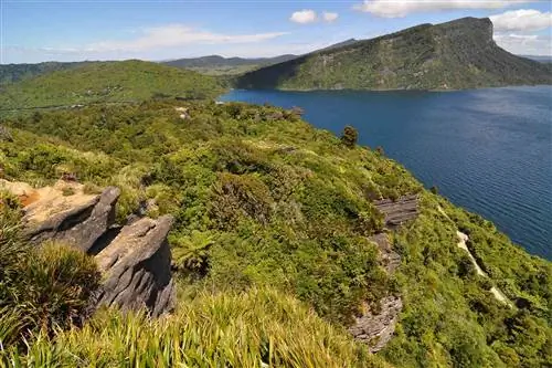 Вид со смотровой площадки Лу - блеф Панекири, озеро Вайкармоана, Новая Зеландия.