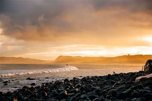Прибой катится по заливу Ману на рассвете в Раглане, Новая Зеландия.