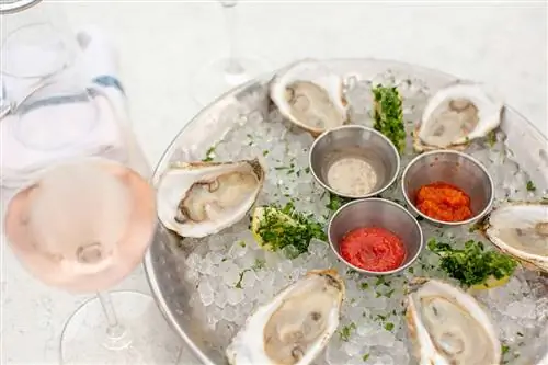 Поднос с устрицами от 19 Raw в Marthas Vineyard