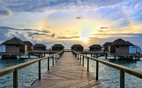 Бунгало над водой в Sandals South Coast Jamaica