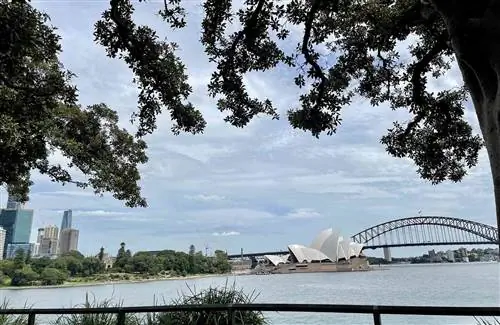 Я посетил Австралию, как только ее границы открылись - вот как это было