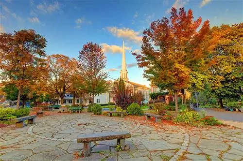 Вудсток - город в округе Ольстер, штат Нью-Йорк. Он находится в границах парка Катскилл.