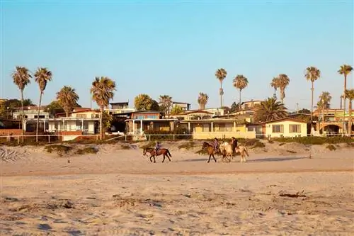 Люди едут на лошадях ближе к вечеру вдоль пляжных домиков в Росарито, Мексика.