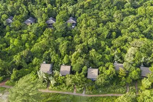 Вид с воздуха на курорт Mango Bay Resort в пышных зеленых джунглях