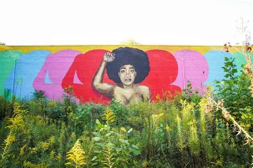Black (Female) Power, красочная фреска художника Mirage Vanguard в торговом центре Ormewood Square в Атланте.