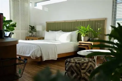 номер h2hotel, полный растений и естественного света номер h2hotel, полный растений и естественного света