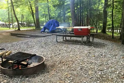 Сцена в палаточном лагере с огнем в гриле, походными принадлежностями на столе для пикника, покрытой брезентом палаткой и отдыхающими на заднем плане. Расположение: кемпинг Элкмонт в национальном парке Грейт-Смоки-Маунтинс.