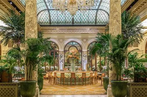 Пальмовый двор на Плазе