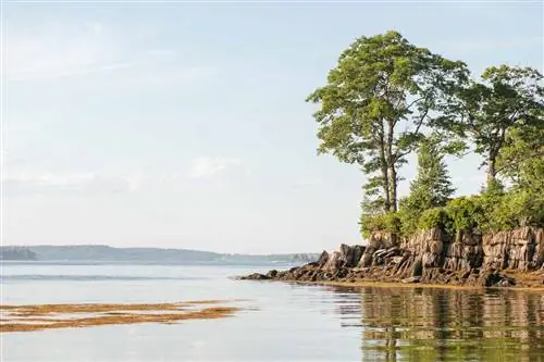Береговая линия воды с деревьями и скалистыми утесами и холмами на расстоянии