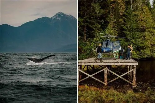 Две фотографии курорта Ниммо Бэй в Британской Колумбии, на которых виден хвост кита и загружаемый вертолет.