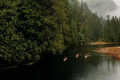 Экскурсия на байдарках с Clayoquot Wilderness Lodge в Канаде