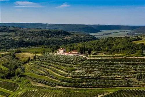 Вид с воздуха на виллу Stancija Baracija в Хорватии