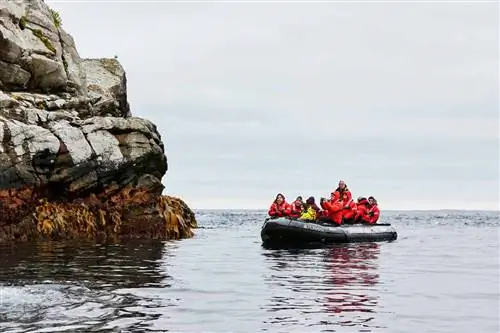 Лодка-зодиак приближается к острову у берегов Новой Зеландии.
