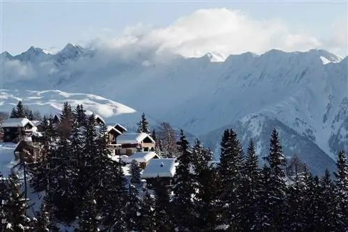 Эта получастная авиакомпания запускает рейсы по Европе - вот куда они направляются