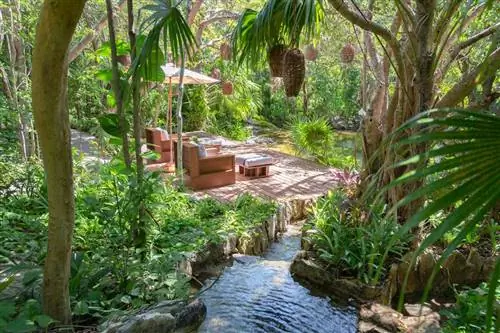 Палуба Sernse Spa Cenote в отеле Rosewood Mayakoba Палуба Sernse Spa Cenote в отеле Rosewood Mayakoba